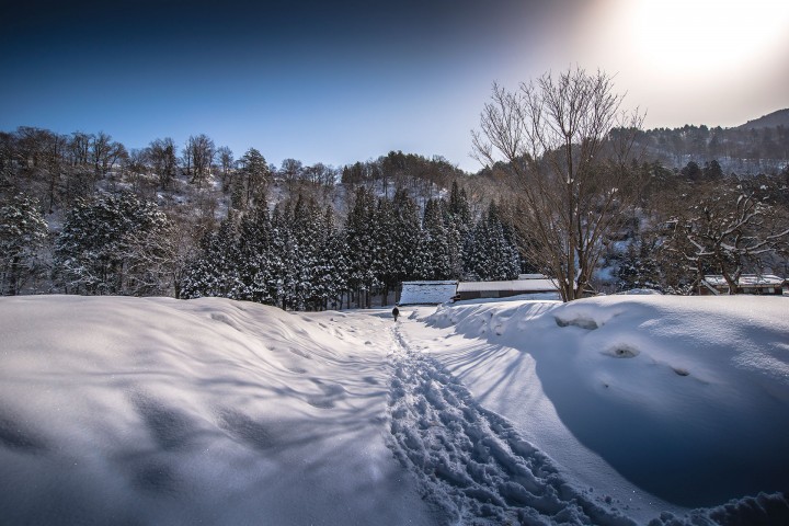 Shirakawago