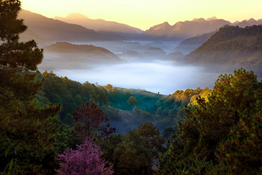 แจกไฟล์ PSD สามารถเข้าไปดูขั้นตอนการรีทัชได้